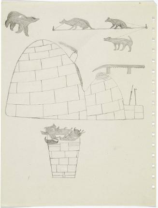 Camp Scene with Bear