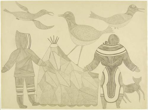 Summer Camp with Birds