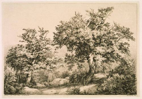 Les Deux Chenes a Fontainbleau from Etudes gravees d'apres nature