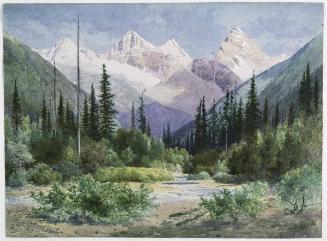 A Sunny Day in the Valley of the Illecellewaet