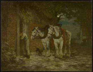 Evening, Ile D'Orleans