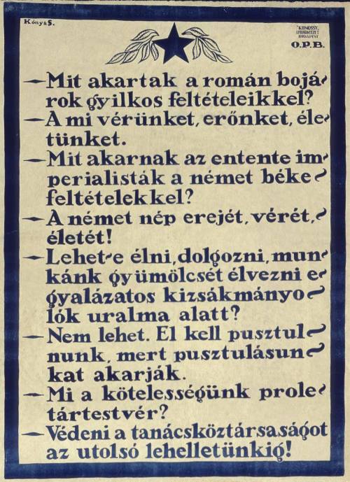 What did the Rumanian Aristocrats Want?