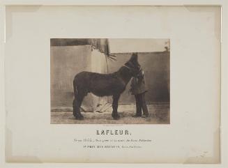 Adrien Alban Tournachon