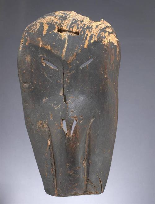 Whale Transformation Mask