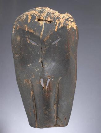 Whale Transformation Mask