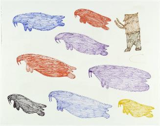 Man and Eight Walrus