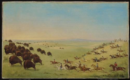 Metis Running Buffalo