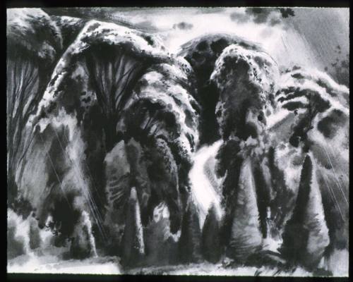 Landscape, Road and Trees