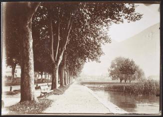 Annecy - the avenue, the lake, the Veyries - near Albigny - in 2 negatives, no. 1