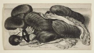 A group of muffs and articles of dress