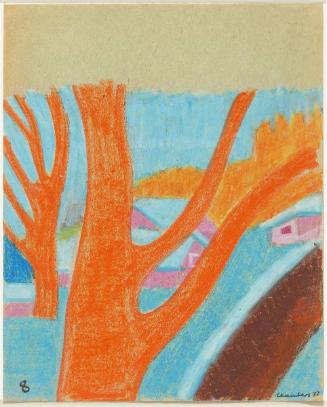 Untitled [view through trees - numbered 8]