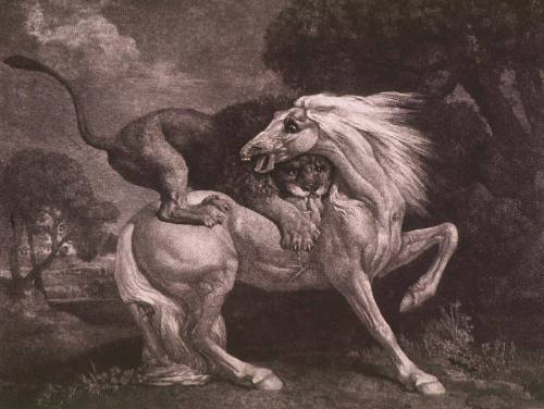 Horse Attacked by a Lion