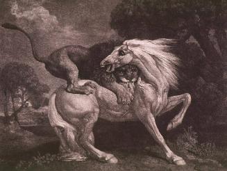 Horse Attacked by a Lion