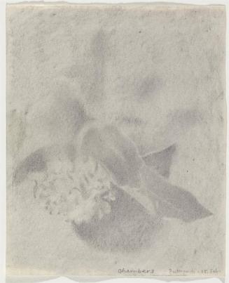 Indian Drawing No. 16