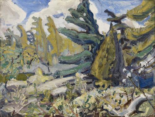 Untitled Forest Landscape