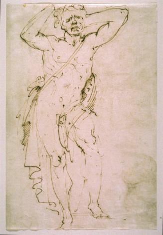 Standing Male Nude