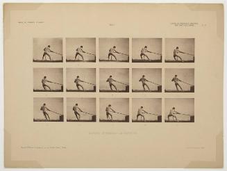 Etudes de Physiologie Artistique, plate 4