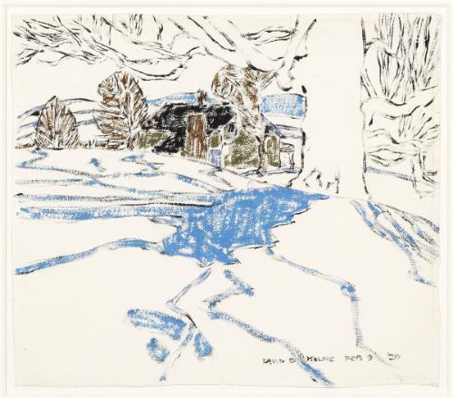 Tree with Blue Shadow, Boston Corners