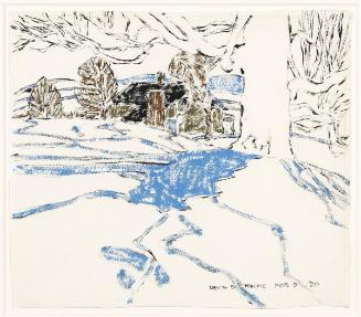 Tree with Blue Shadow, Boston Corners