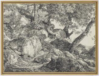 Johann Christian Reinhart