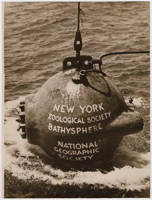 Dr. Beebe's 2,500 Feet Exploit Under the Sea.