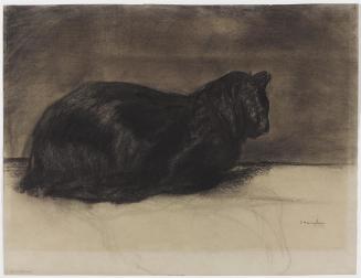 Reclining Black Cat Facing Right