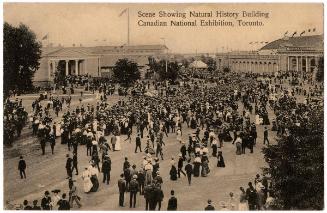 Scene Showing Natural History Building, Canadian National Exhibition
