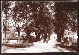 Auberive - Avenue de l'Abbatiale - where I was born on 16 march 1839