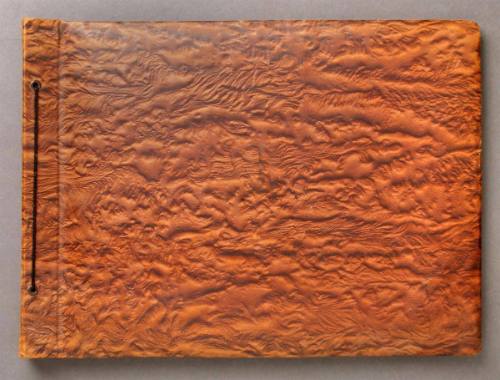 Dutch Scenic Travel Album 4/4