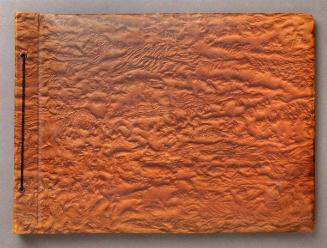 Dutch Scenic Travel Album 4/4