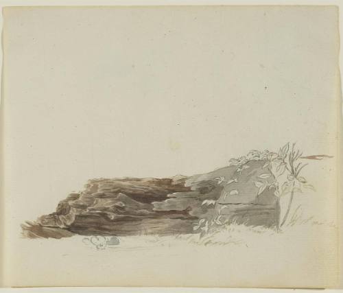 Tree Trunk (After William Berczy's "Joseph Brant")