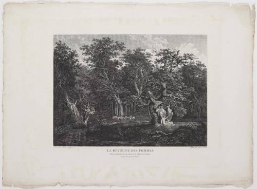 La Recolte des Pommes