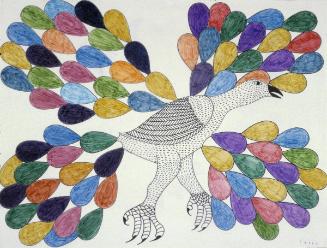 Bird with Colourful Plumage