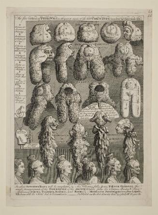 The Five Orders of Periwigs