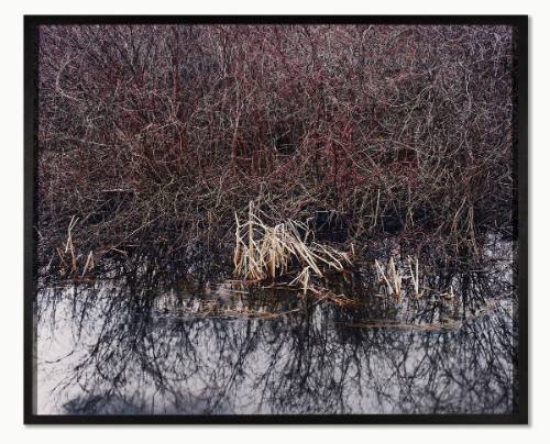 Landscape Study #4, Ontario