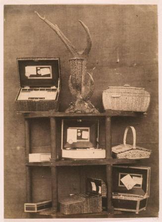 Vizagapatam Work in Ivory, Buffalo and Elk Horns