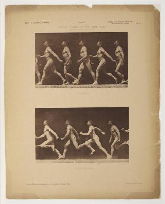 Etudes de Physiologie Artistique, plate 6