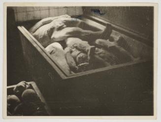 Corpses and body parts in the morgue