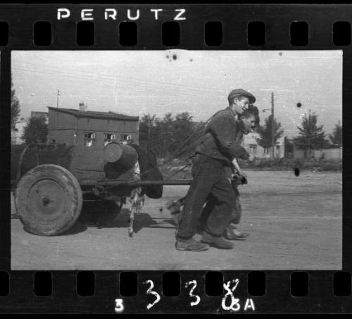 The removal of feces in the ghetto by men and women workers