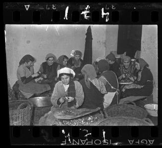 Women peeling vegetables in the kitchen