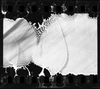 Negative #272A from Lodz Ghetto Collection Series Additional Negatives 2C, Sheet 22