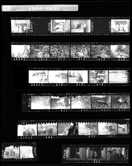 Negative Sheet #50 from Lodz Ghetto Collection