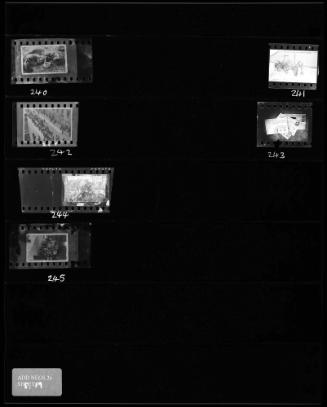 Sheet #19 from Lodz Ghetto Collection Series Additional Negatives 2C