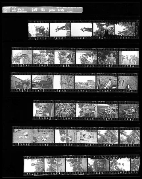 Negative Sheet #25 from Lodz Ghetto Collection