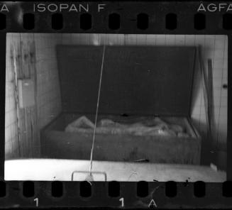 Corpses and body parts in the morgue