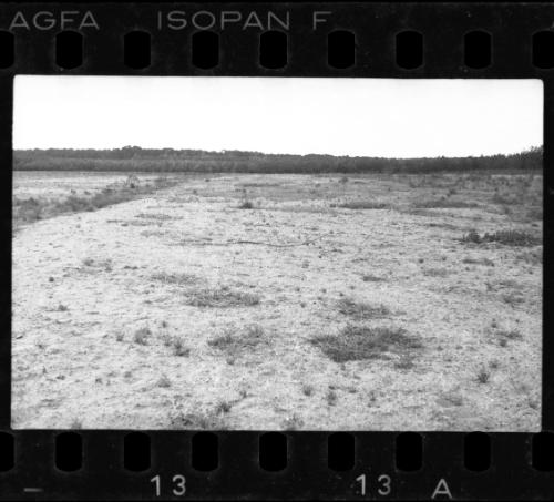 Field in the ghetto after liberation