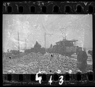 Delivery of cabbage to the ghetto