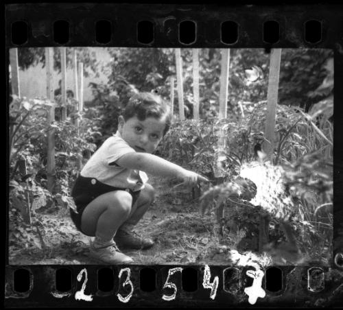 Young boy in a garden