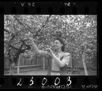 Woman in the blossoming garden