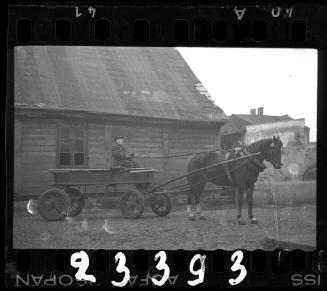Transport Department worker in a horse-drawn cart